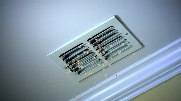 Best Professional Duct Cleaning Services  in Winchester, MO