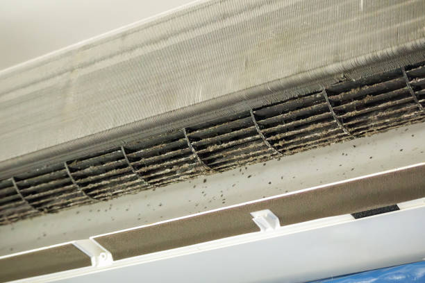 Best Commercial Air Duct Cleaning  in Winchester, MO